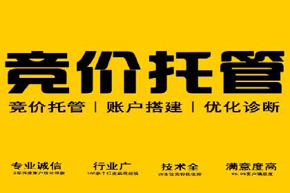 百度竞价包年策略：成功案例解析与经验分享